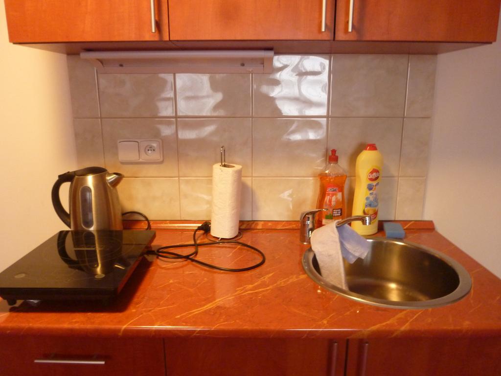 Apartment Karlovy Vary * Karlovy Vary