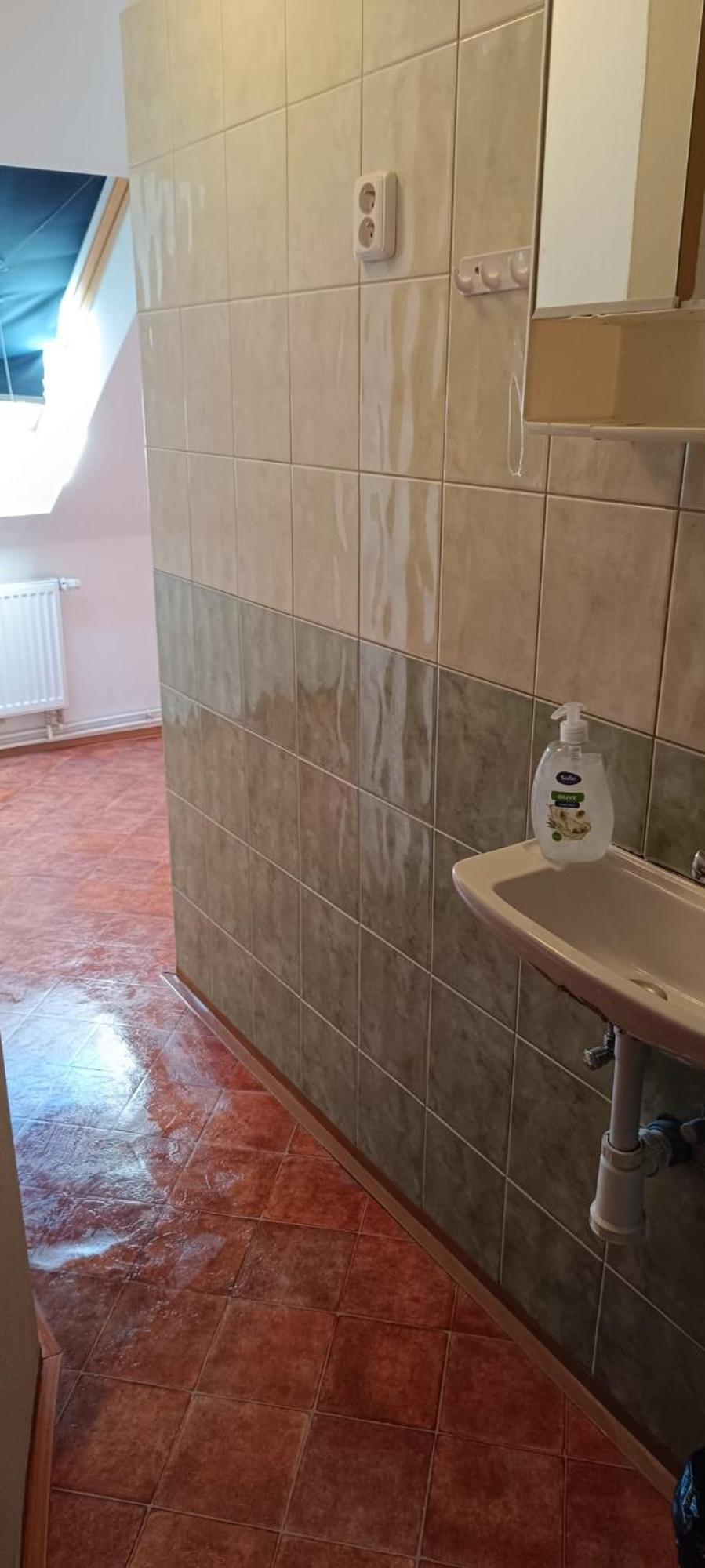 Apartment Apartment Karlovy Vary *